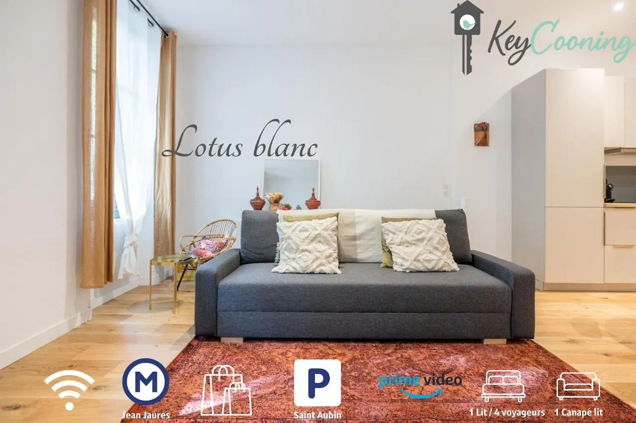 Le Lotus Blanc - Hypercentre A 10 Min Du Metro Apartment Toulouse